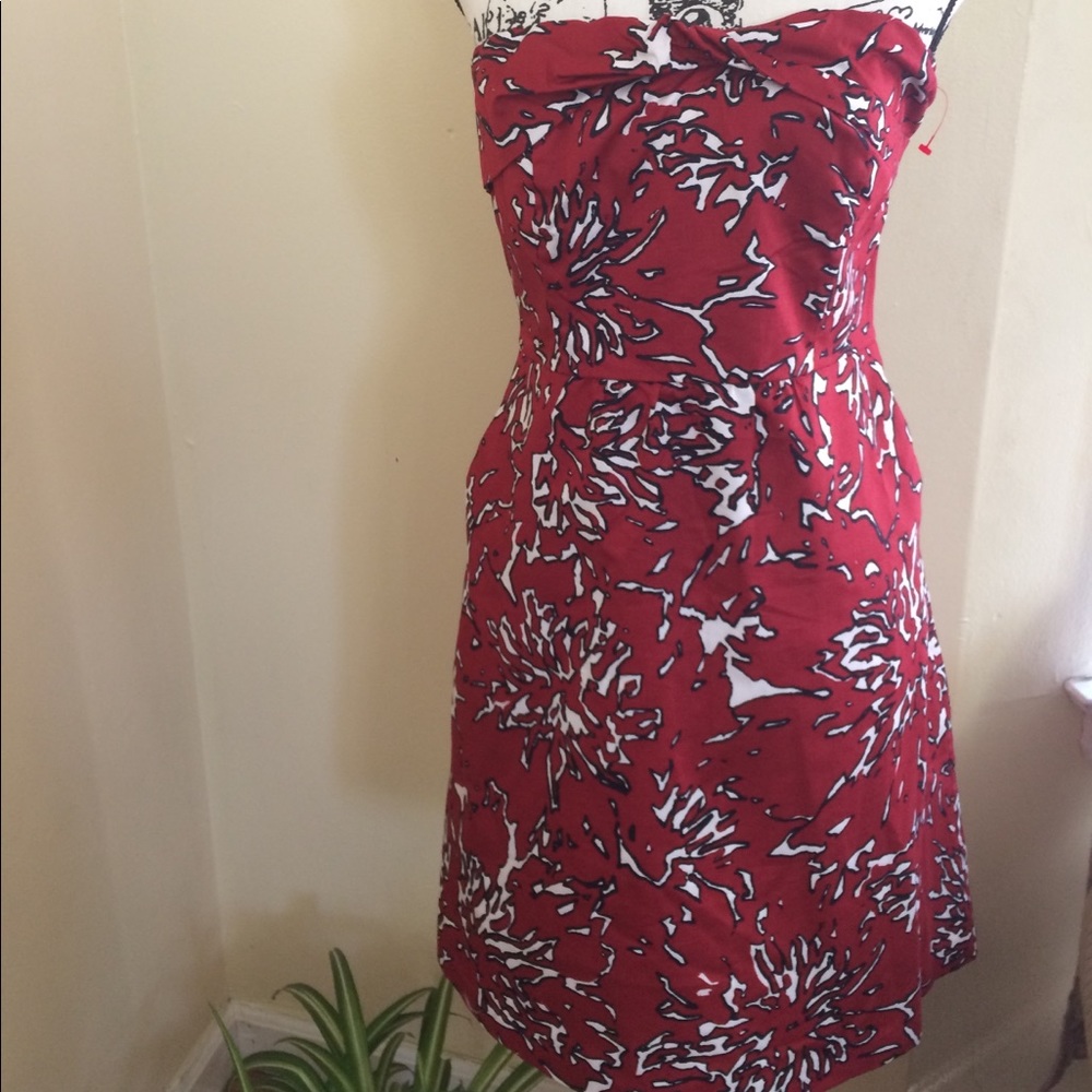 The Limited Strapless Dress